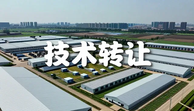 应用开发如何提升工作效率？